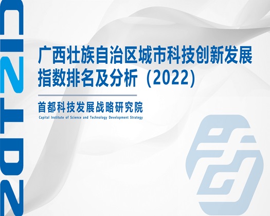 大鸡巴插女人的骚逼流水白浆视频免费网站【成果发布】广西壮族自治区城市科技创新发展指数排名及分析（2022）